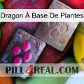 Dragon À Base De Plantes 38